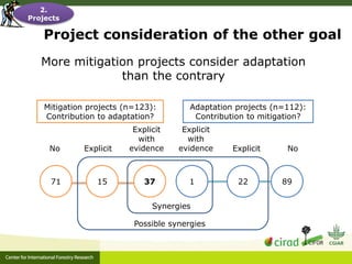 Adaptation-mitigation synergies in forest and agricultural landscapes