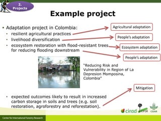 Adaptation-mitigation synergies in forest and agricultural landscapes