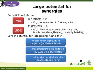 Adaptation-mitigation synergies in forest and agricultural landscapes