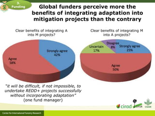 Adaptation-mitigation synergies in forest and agricultural landscapes