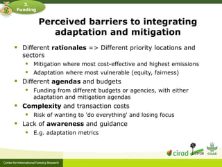 Adaptation-mitigation synergies in forest and agricultural landscapes