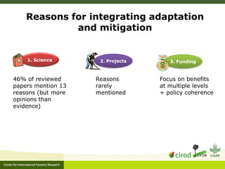 Adaptation-mitigation synergies in forest and agricultural landscapes