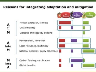 Adaptation-mitigation synergies in forest and agricultural landscapes