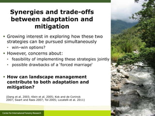 Adaptation-mitigation synergies in forest and agricultural landscapes