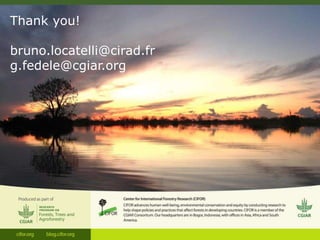 Adaptation-mitigation synergies in forest and agricultural landscapes