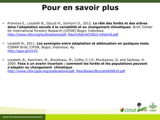 Adaptation-mitigation synergies in forest and agricultural landscapes