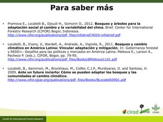 Adaptation-mitigation synergies in forest and agricultural landscapes