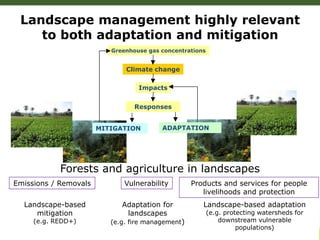 Adaptation-mitigation synergies in forest and agricultural landscapes
