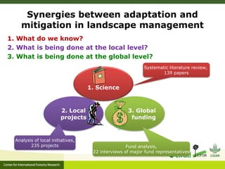 Adaptation-mitigation synergies in forest and agricultural landscapes