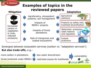 Adaptation-mitigation synergies in forest and agricultural landscapes