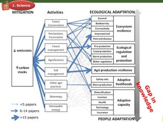 Adaptation-mitigation synergies in forest and agricultural landscapes