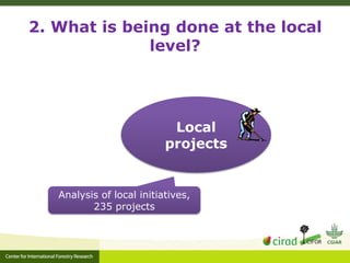 Adaptation-mitigation synergies in forest and agricultural landscapes