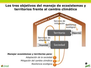Los tres objetivos del manejo de ecosistemas y 
territorios frente al cambio climático 
1 
2 
3 
Servicios de 
adaptación 
Servicio de 
mitigación 
Resiliencia 
ecológica 
Manejar ecosistemas y territorios para: 
Adaptación de la sociedad 
Mitigación del cambio climático 
Resiliencia ecológica 
Territorio 
Impactos Sociedad 
Impactos 
 