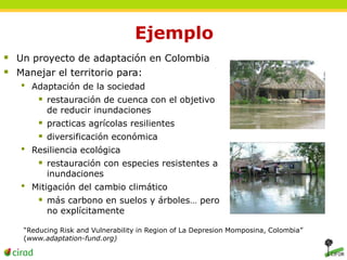 Ejemplo 
 Un proyecto de adaptación en Colombia 
 Manejar el territorio para: 
• Adaptación de la sociedad 
 restauración de cuenca con el objetivo 
de reducir inundaciones 
 practicas agrícolas resilientes 
 diversificación económica 
• Resiliencia ecológica 
 restauración con especies resistentes a 
inundaciones 
• Mitigación del cambio climático 
 más carbono en suelos y árboles… pero 
no explícitamente 
“Reducing Risk and Vulnerability in Region of La Depresion Momposina, Colombia” 
(www.adaptation-fund.org) 
 