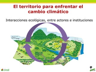 El territorio para enfrentar el 
cambio climático 
Interacciones ecológicas, entre actores e instituciones 
 