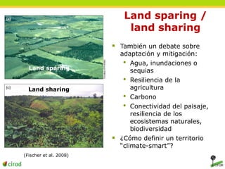 Land sparing / 
land sharing 
 También un debate sobre 
adaptación y mitigación: 
• Agua, inundaciones o 
sequias 
• Resiliencia de la 
agricultura 
• Carbono 
• Conectividad del paisaje, 
resiliencia de los 
ecosistemas naturales, 
biodiversidad 
 ¿Cómo definir un territorio 
“climate-smart”? 
Land sparing 
Land sharing 
(Fischer et al. 2008) 
 