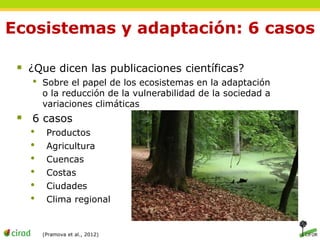 Ecosistemas y adaptación: 6 casos 
 ¿Que dicen las publicaciones científicas? 
• Sobre el papel de los ecosistemas en la adaptación 
o la reducción de la vulnerabilidad de la sociedad a 
variaciones climáticas 
 6 casos 
• Productos 
• Agricultura 
• Cuencas 
• Costas 
• Ciudades 
• Clima regional 
(Pramova et al., 2012) 
 