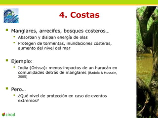 4. Costas 
 Manglares, arrecifes, bosques costeros… 
• Absorban y disipan energía de olas 
• Protegen de tormentas, inundaciones costeras, 
aumento del nivel del mar 
 Ejemplo: 
• India (Orissa): menos impactos de un huracán en 
comunidades detrás de manglares (Badola & Hussain, 
2005) 
 Pero… 
• ¿Qué nivel de protección en caso de eventos 
extremos? 
 