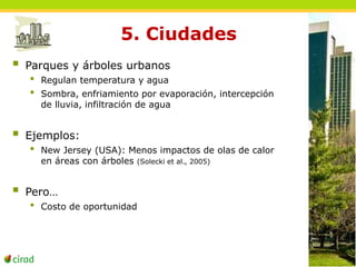 5. Ciudades 
 Parques y árboles urbanos 
• Regulan temperatura y agua 
• Sombra, enfriamiento por evaporación, intercepción 
de lluvia, infiltración de agua 
 Ejemplos: 
• New Jersey (USA): Menos impactos de olas de calor 
en áreas con árboles (Solecki et al., 2005) 
 Pero… 
• Costo de oportunidad 
 