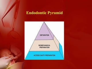 Endodontic Pyramid
 