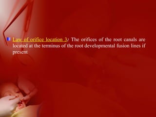 Law of orifice location 3: The orifices of the root canals are
located at the terminus of the root developmental fusion lines if
present
 