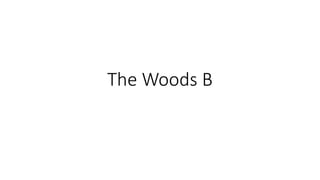 The Woods B
 