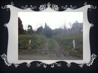 Location images