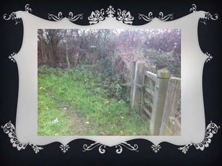 Location images