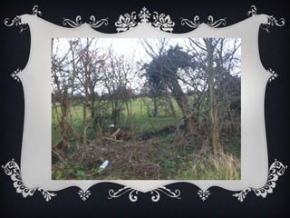 Location images