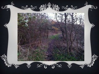 Location images