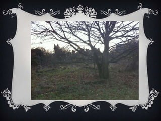 Location images