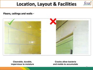 Location, Layout & Facilities
Cleanable, durable,
impervious to moisture
Cracks allow bacteria
and molds to accumulate
Floors, ceilings and walls -
28
 