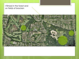 I filmed in the forest and
on fields of bracken
 