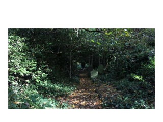 Location Scouting - Cemetery