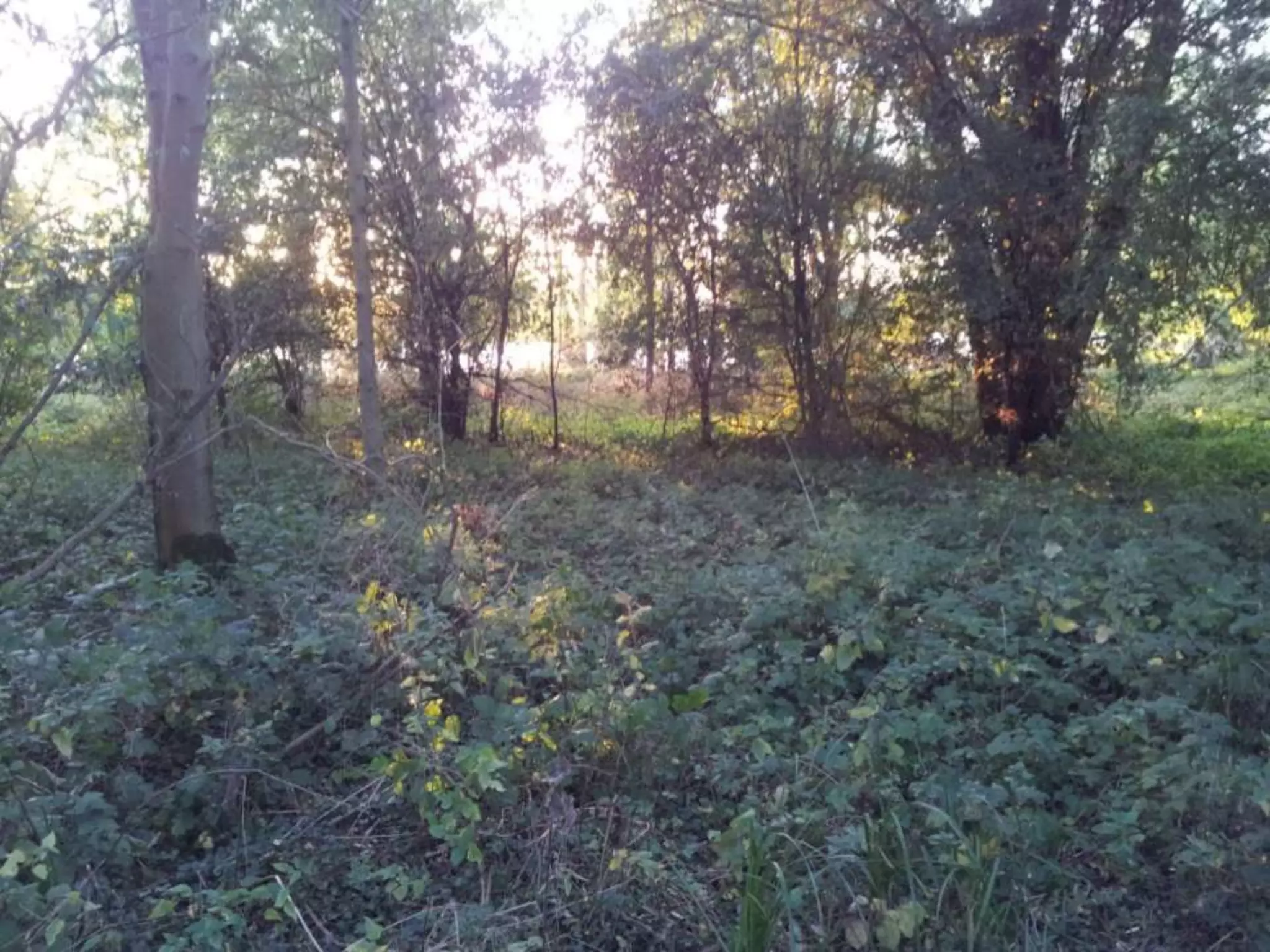 Location shots presentation