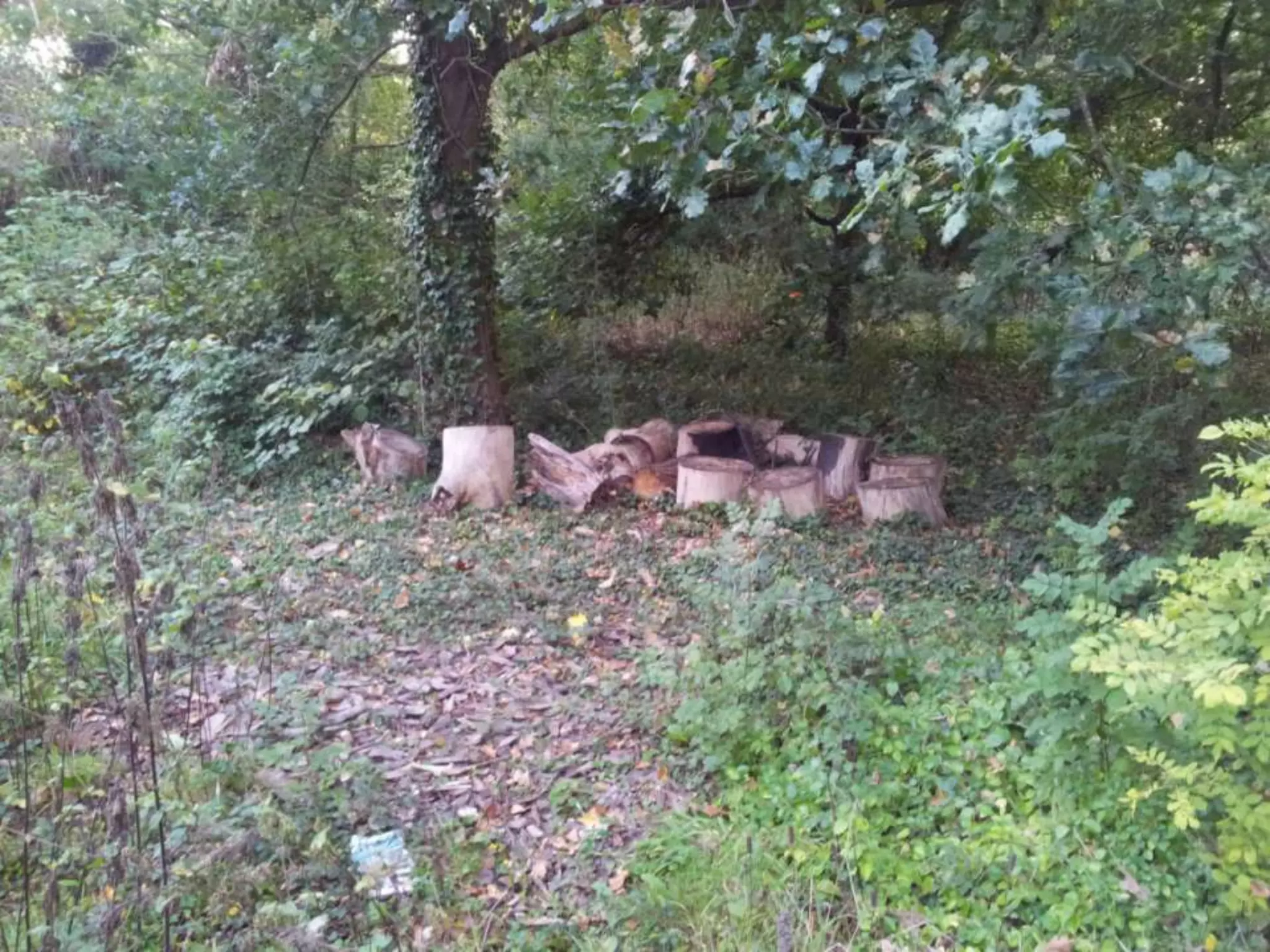 Location shots presentation1