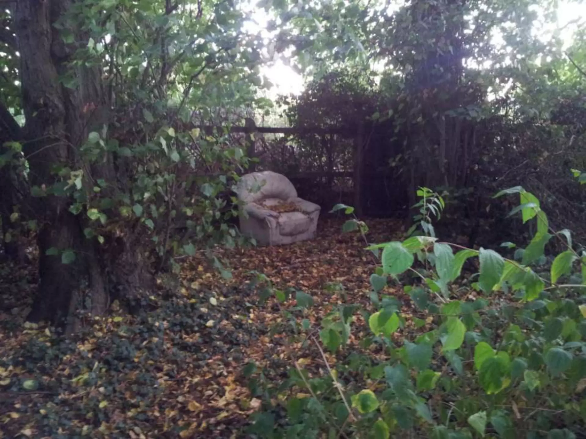 Location shots presentation1