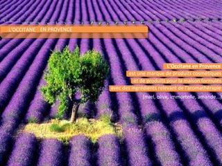 L’OCCITANE EN PROVENCE




                                                  L’Occitane en Provence
                                est une marque de produits cosmétiques
                                   et de produits pour la maison formulés
                         avec des ingrédients relevant de l'aromathérapie
                                      (miel, olive, immortelle, amande...)
 