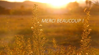 MERCI BEAUCOUP !
 