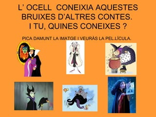 L’ OCELL  CONEIXIA AQUESTES BRUIXES D’ALTRES CONTES.  I TU, QUINES CONEIXES ? PICA DAMUNT LA IMATGE I VEURÀS LA PEL.LÍCULA.   