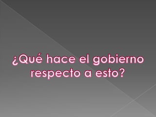 El estado realiza una serie de actualizaciones a la malla curricular. para adecuarse a estas demandas en educación.Se cran programas de alfabetización digital como por ejemplo: red enlaces.