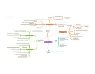 Learning Outcomes Based Curriculum Framework (LOCF): Concept Map For ...