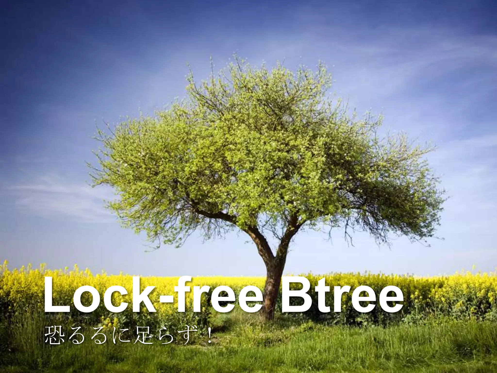 Lock-free Btree
恐るるに足らず！
 