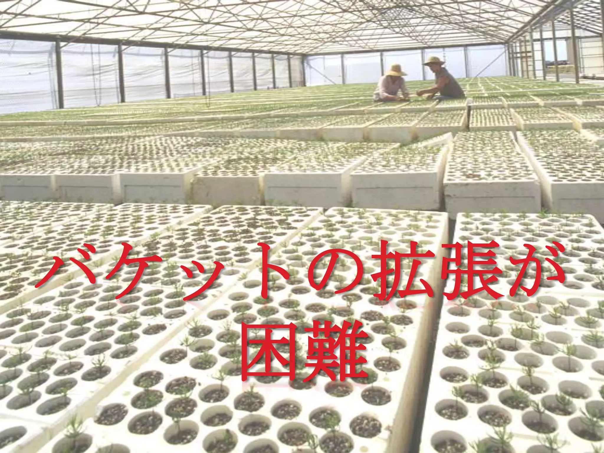 バケットの拡張が
   困難
 