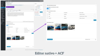 Nativo Shortcodes
Editor+ACFPage Builder con Lock-in
 