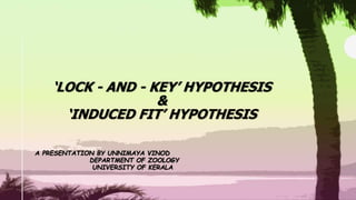 ‘LOCK - AND - KEY’ HYPOTHESIS
&
‘INDUCED FIT’ HYPOTHESIS
A PRESENTATION BY UNNIMAYA VINOD
DEPARTMENT OF ZOOLOGY
UNIVERSITY OF KERALA
 