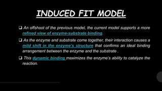 Lock and key model & induced fit model | PPTX