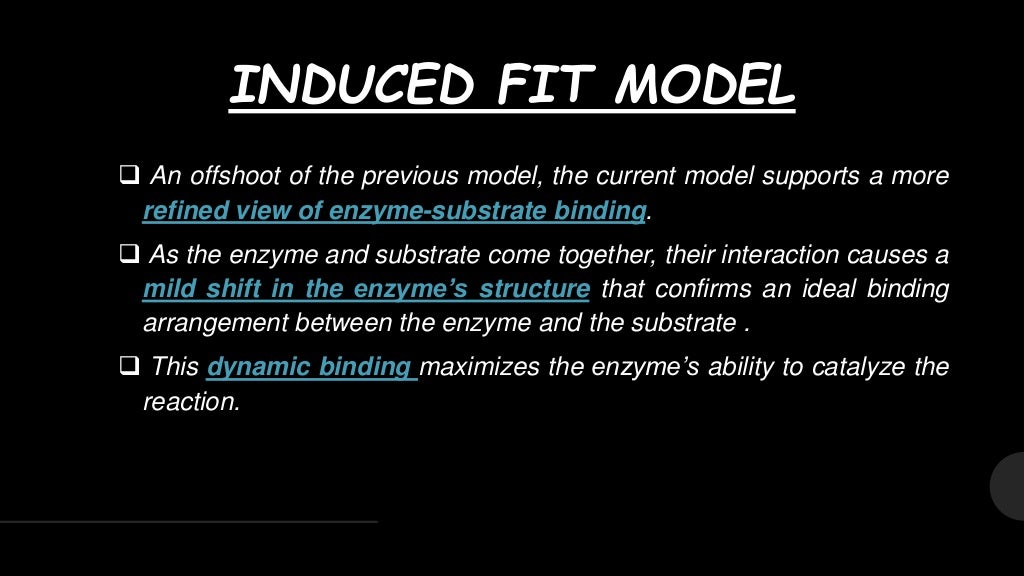 Lock and key model & induced fit model
