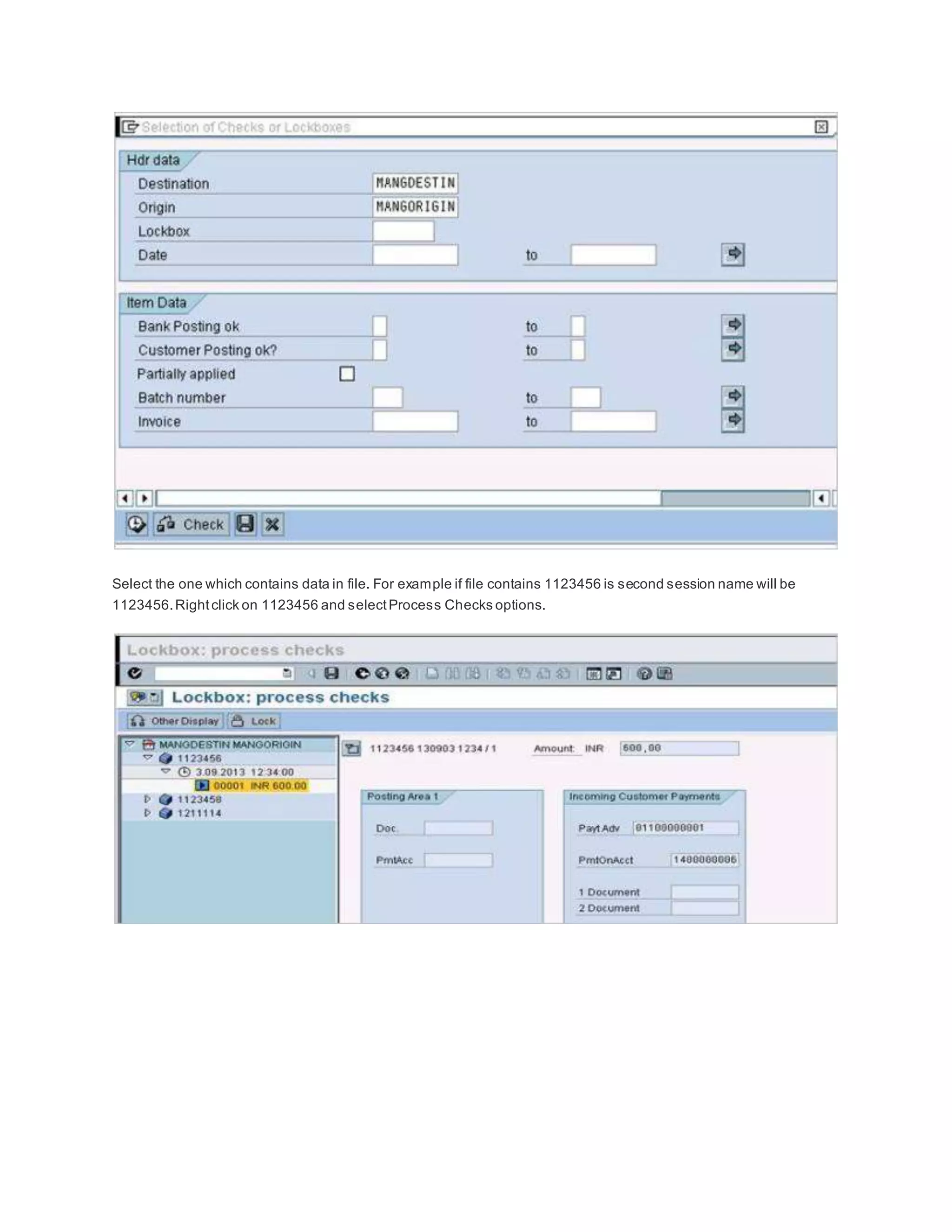 Select the one which contains data in file. For example if file contains 1123456 is second session name will be
1123456.Rightclick on 1123456 and selectProcess Checks options.
 