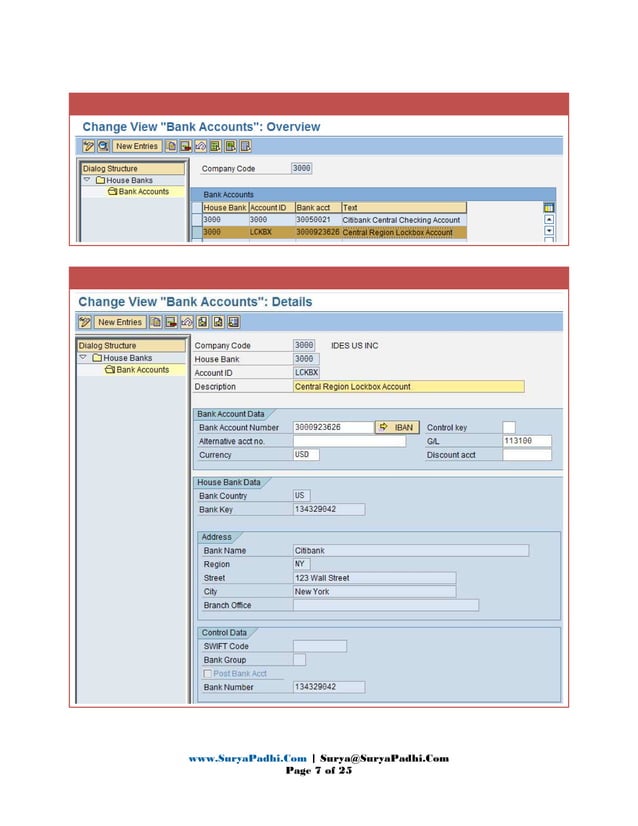 SAP Lock Box Process PDF